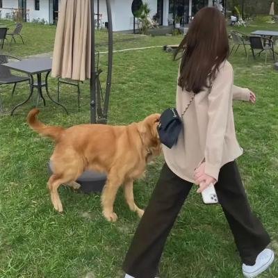 杀手无罪